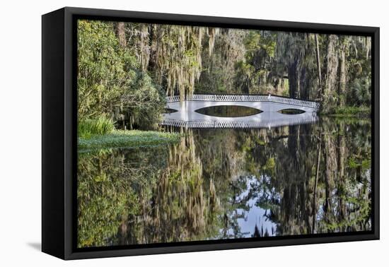 Bridge crossing pond Springtime azalea blooming, Charleston, South Carolina.-Darrell Gulin-Framed Premier Image Canvas