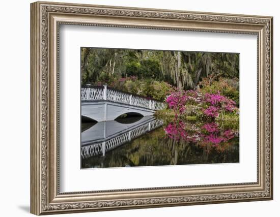 Bridge crossing pond Springtime azalea blooming, Charleston, South Carolina.-Darrell Gulin-Framed Photographic Print