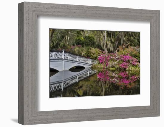 Bridge crossing pond Springtime azalea blooming, Charleston, South Carolina.-Darrell Gulin-Framed Photographic Print