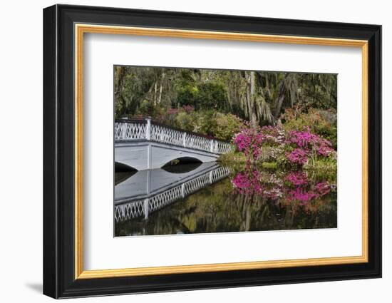 Bridge crossing pond Springtime azalea blooming, Charleston, South Carolina.-Darrell Gulin-Framed Photographic Print