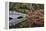 Bridge crossing pond Springtime azalea blooming, Charleston, South Carolina.-Darrell Gulin-Framed Premier Image Canvas