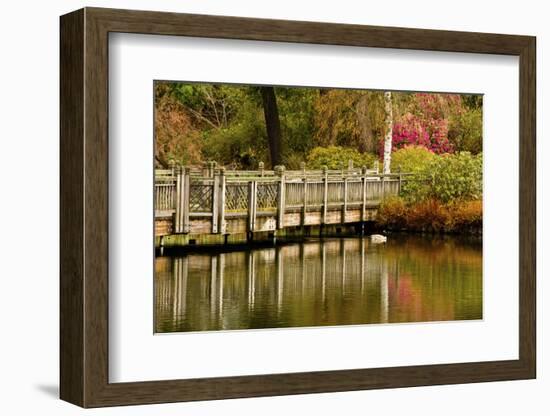 Bridge, Crystal Springs Lake, Rhododendron Garden, Portland, Oregon-Michel Hersen-Framed Photographic Print