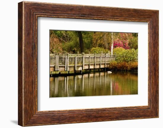 Bridge, Crystal Springs Lake, Rhododendron Garden, Portland, Oregon-Michel Hersen-Framed Photographic Print