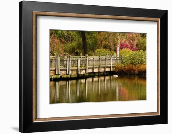 Bridge, Crystal Springs Lake, Rhododendron Garden, Portland, Oregon-Michel Hersen-Framed Photographic Print