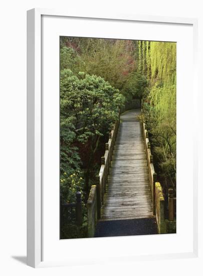 Bridge, Crystal Springs Rhododendron Garden, Portland, Oregon, Usa-Michel Hersen-Framed Photographic Print