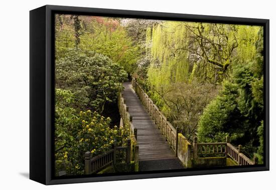 Bridge, Crystal Springs Rhododendron Garden, Portland, Oregon, Usa-Michel Hersen-Framed Premier Image Canvas
