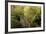 Bridge, Crystal Springs Rhododendron Garden, Portland, Oregon, Usa-Michel Hersen-Framed Photographic Print