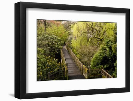 Bridge, Crystal Springs Rhododendron Garden, Portland, Oregon, Usa-Michel Hersen-Framed Photographic Print