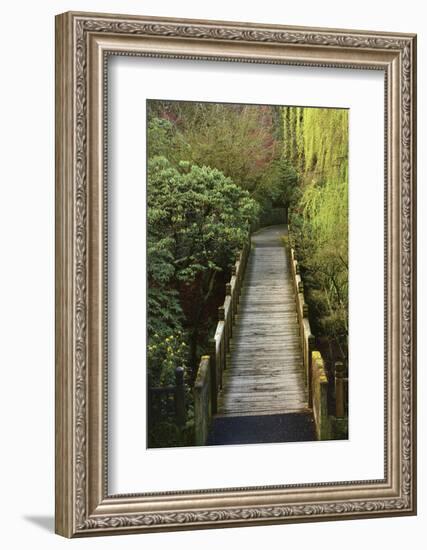 Bridge, Crystal Springs Rhododendron Garden, Portland, Oregon, Usa-Michel Hersen-Framed Photographic Print