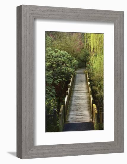 Bridge, Crystal Springs Rhododendron Garden, Portland, Oregon, Usa-Michel Hersen-Framed Photographic Print