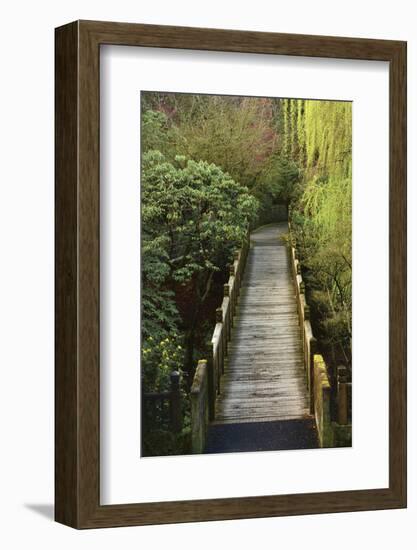 Bridge, Crystal Springs Rhododendron Garden, Portland, Oregon, Usa-Michel Hersen-Framed Photographic Print