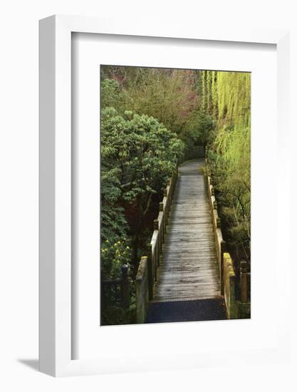 Bridge, Crystal Springs Rhododendron Garden, Portland, Oregon, Usa-Michel Hersen-Framed Photographic Print