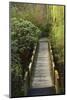 Bridge, Crystal Springs Rhododendron Garden, Portland, Oregon, Usa-Michel Hersen-Mounted Photographic Print