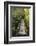 Bridge, Crystal Springs Rhododendron Garden, Portland, Oregon, Usa-Michel Hersen-Framed Photographic Print