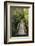 Bridge, Crystal Springs Rhododendron Garden, Portland, Oregon, Usa-Michel Hersen-Framed Photographic Print