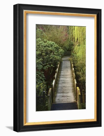 Bridge, Crystal Springs Rhododendron Garden, Portland, Oregon, Usa-Michel Hersen-Framed Photographic Print