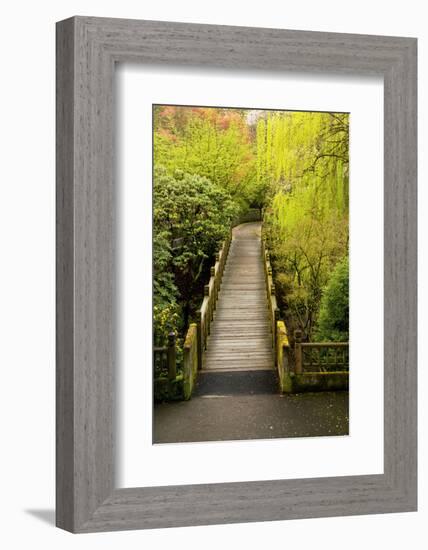 Bridge, Crystal Springs Rhododendron Garden, Portland, Oregon, Usa-Michel Hersen-Framed Photographic Print