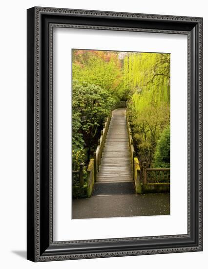 Bridge, Crystal Springs Rhododendron Garden, Portland, Oregon, Usa-Michel Hersen-Framed Photographic Print