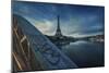 Bridge, Eiffel, Paris, France-Sebastien Lory-Mounted Photographic Print