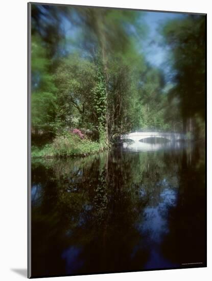 Bridge in a Garden-null-Mounted Photographic Print