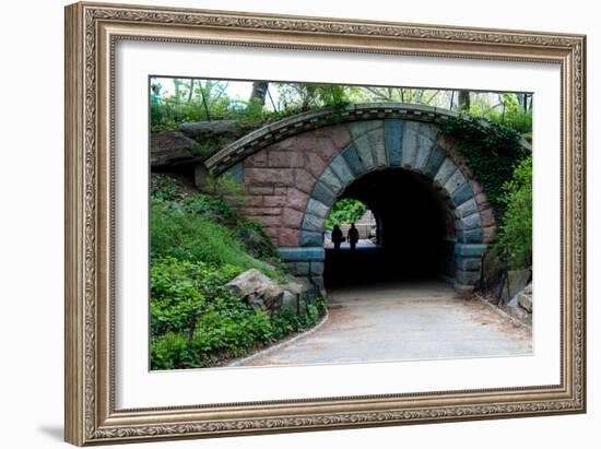 Bridge in Central Park-Erin Berzel-Framed Photographic Print