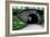 Bridge in Central Park-Erin Berzel-Framed Photographic Print