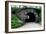 Bridge in Central Park-Erin Berzel-Framed Photographic Print