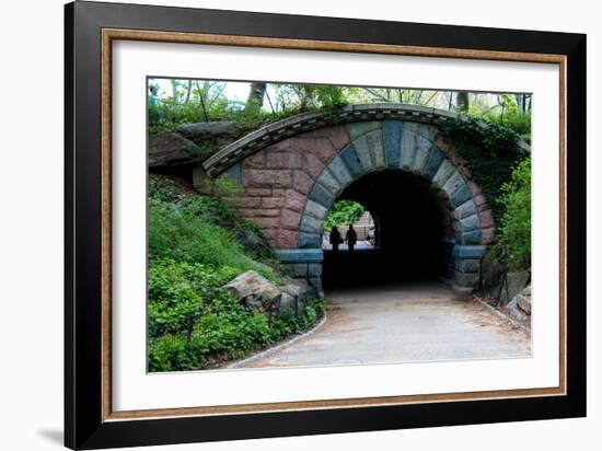 Bridge in Central Park-Erin Berzel-Framed Photographic Print