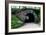 Bridge in Central Park-Erin Berzel-Framed Photographic Print