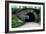 Bridge in Central Park-Erin Berzel-Framed Photographic Print