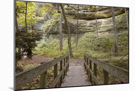 Bridge In The Canyon-Monte Nagler-Mounted Photographic Print