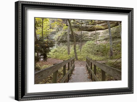 Bridge In The Canyon-Monte Nagler-Framed Photographic Print