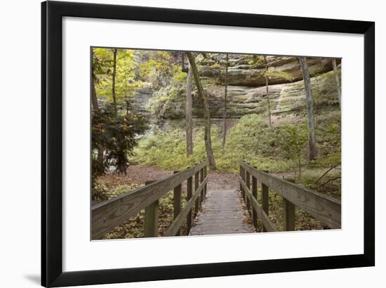 Bridge In The Canyon-Monte Nagler-Framed Photographic Print