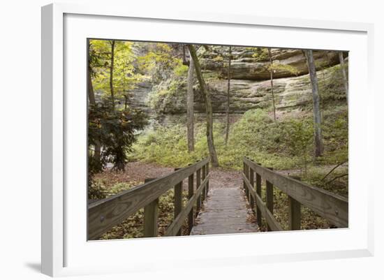 Bridge In The Canyon-Monte Nagler-Framed Photographic Print