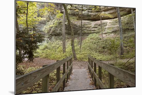 Bridge In The Canyon-Monte Nagler-Mounted Photographic Print