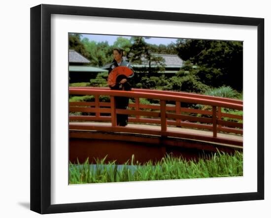 Bridge, Japan-Bill Bachmann-Framed Photographic Print