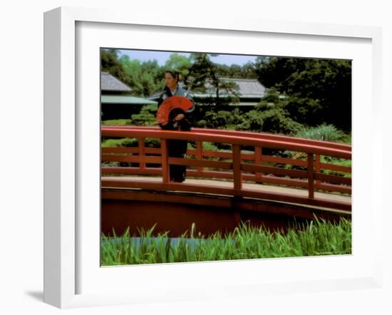 Bridge, Japan-Bill Bachmann-Framed Photographic Print