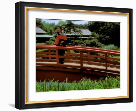 Bridge, Japan-Bill Bachmann-Framed Photographic Print