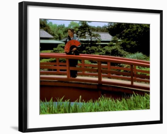 Bridge, Japan-Bill Bachmann-Framed Photographic Print