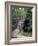 Bridge, Japanese Garden, Golden Gate Park, CA-Barry Winiker-Framed Photographic Print