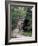 Bridge, Japanese Garden, Golden Gate Park, CA-Barry Winiker-Framed Photographic Print