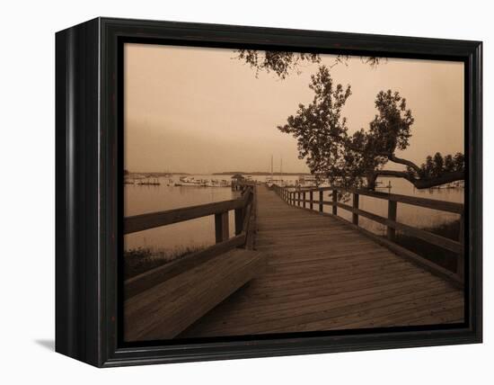 Bridge Leading to Pier-Guy Cali-Framed Premier Image Canvas