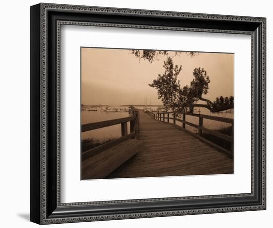 Bridge Leading to Pier-Guy Cali-Framed Photographic Print