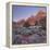 Bridge Mountain, Zion National Park, Utah, Usa-Rainer Mirau-Framed Premier Image Canvas