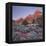 Bridge Mountain, Zion National Park, Utah, Usa-Rainer Mirau-Framed Premier Image Canvas