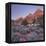 Bridge Mountain, Zion National Park, Utah, Usa-Rainer Mirau-Framed Premier Image Canvas