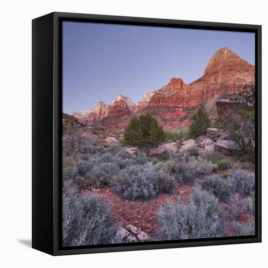 Bridge Mountain, Zion National Park, Utah, Usa-Rainer Mirau-Framed Premier Image Canvas