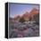 Bridge Mountain, Zion National Park, Utah, Usa-Rainer Mirau-Framed Premier Image Canvas