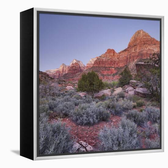 Bridge Mountain, Zion National Park, Utah, Usa-Rainer Mirau-Framed Premier Image Canvas