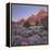 Bridge Mountain, Zion National Park, Utah, Usa-Rainer Mirau-Framed Premier Image Canvas